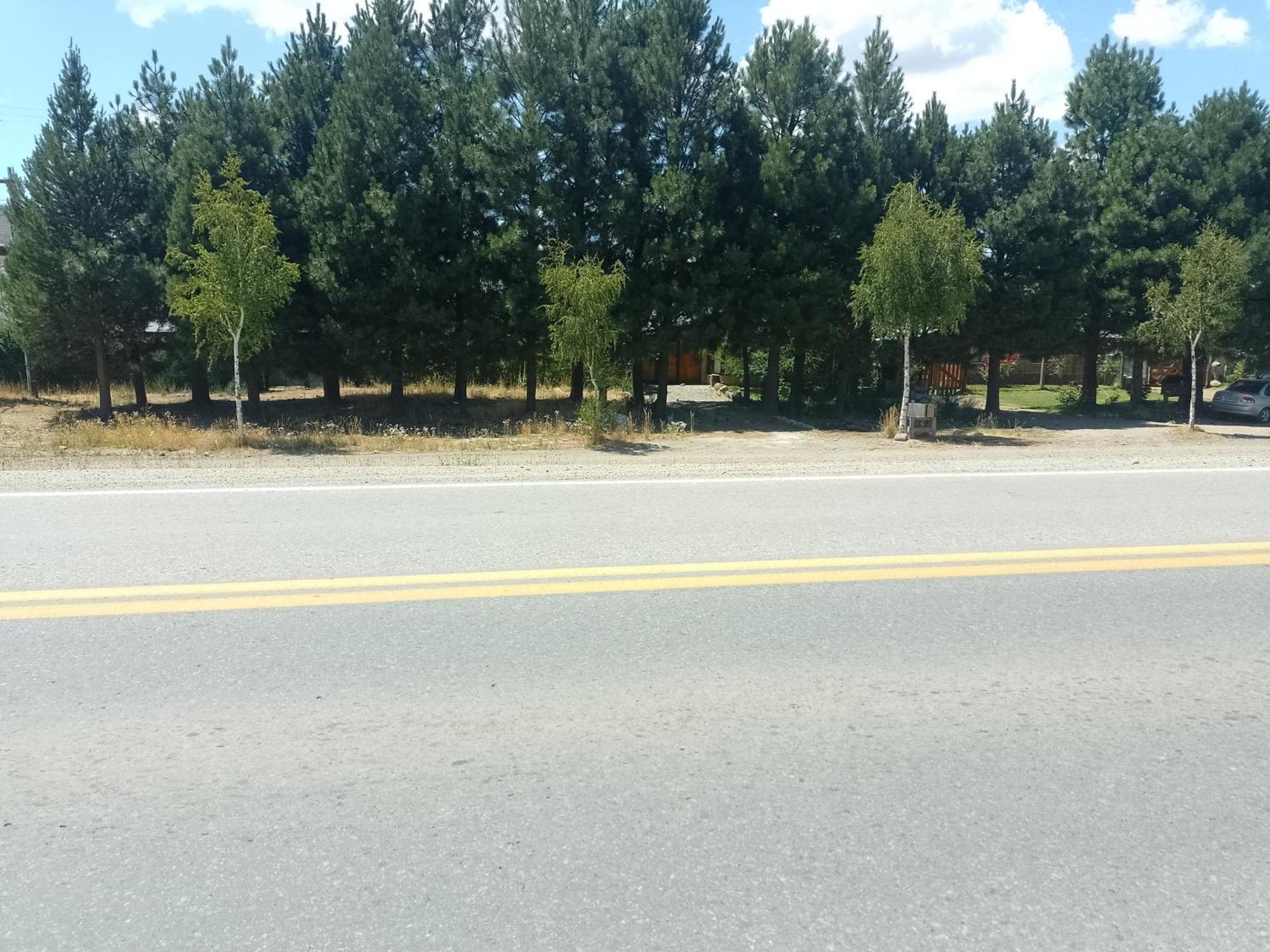 Сasa de vacaciones El Pinon Junín de los Andes